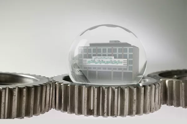 مشارکت دادن مردم در تخصیص مالیات موجب شفافیت و عدالت در فرآیند مالیات می شود